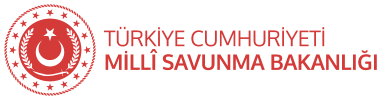 Ana Destekleyiciler